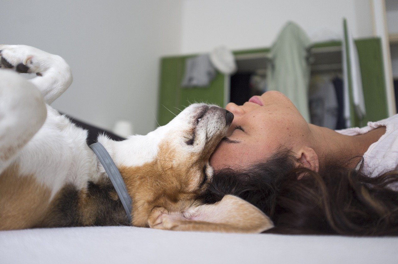 Los 10 mandamientos del dueño responsable de una mascota